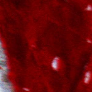 M-N Caron ''Rouge 6''